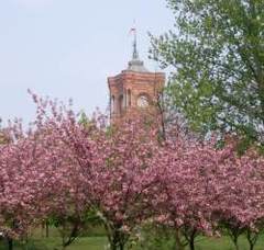 Bauernregeln im Mai