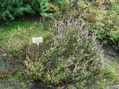 Hand an Heiden anlegen