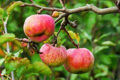 Mehr Sonnenlicht, bessere Luft