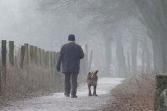 Keksen und Sofa entkommen!
