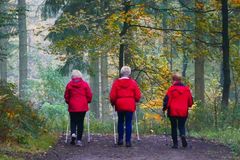 Die St&ouml;cke im Anschlag