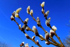 Ungetrübter Sonnenschein