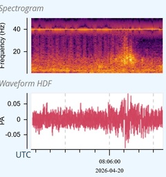 Erdbeben ersch&uuml;ttert Nordosten Japans